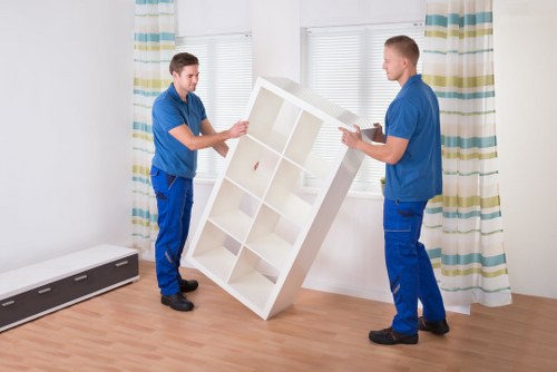 Professional mover handling boxes for a man and van job in Woolwich